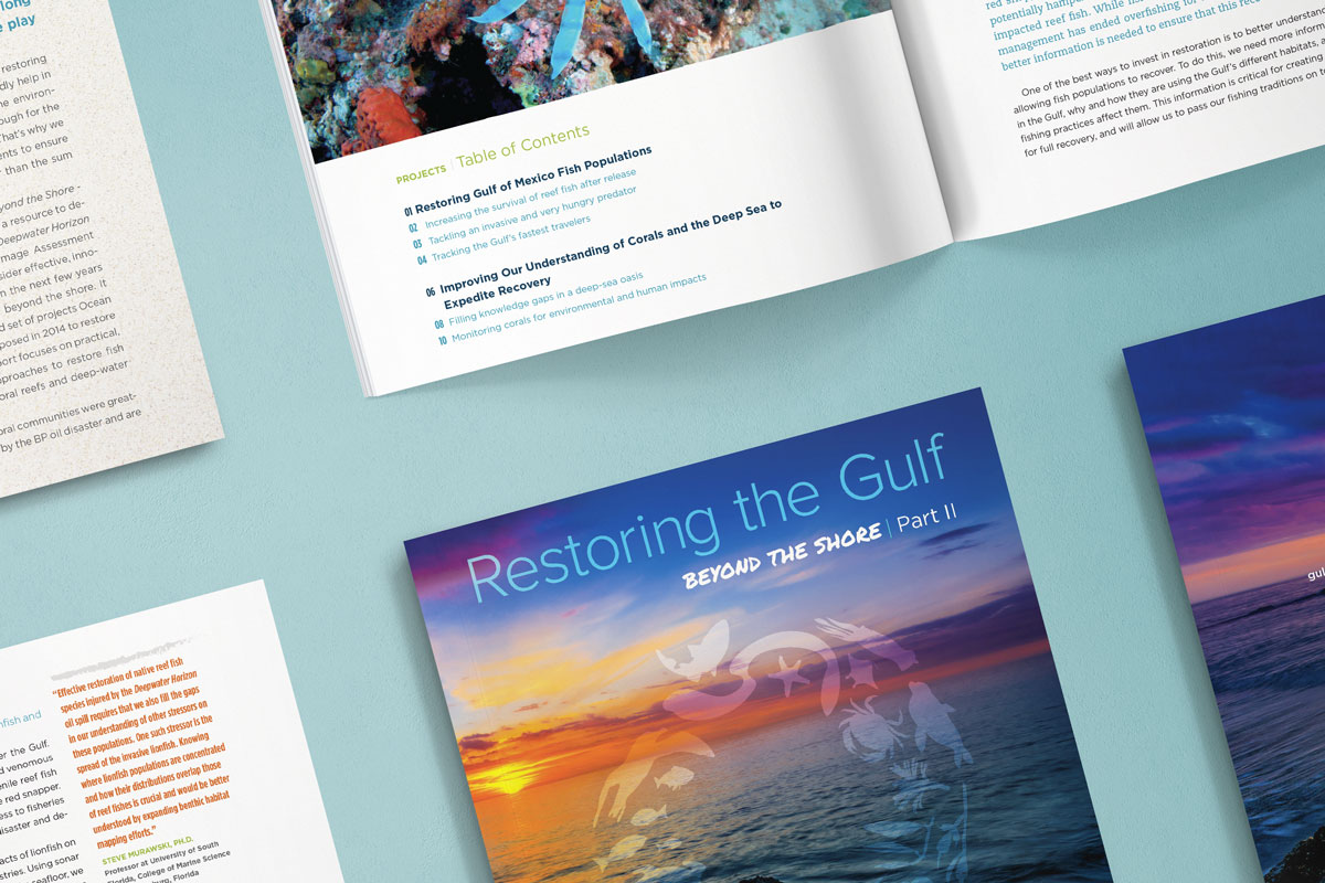 Ocean Conservancy brochure